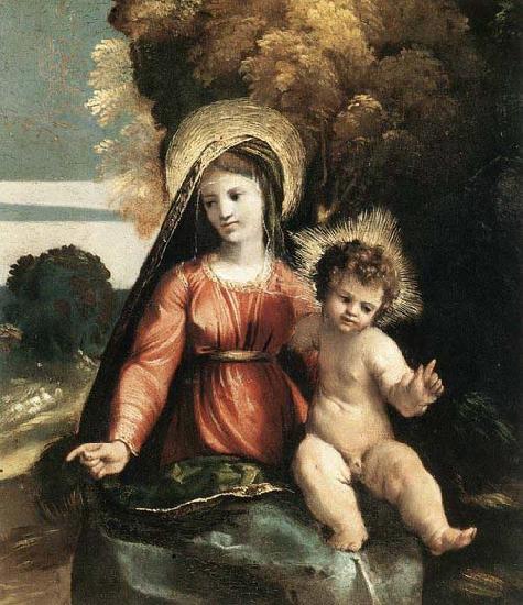 Dosso Dossi Madonna and Child Sweden oil painting art